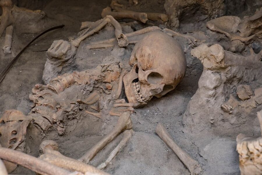 2-Hour Private Tour of the Ruins of Herculaneum - Council Hall of the Augustali and Frescoes of Hercules