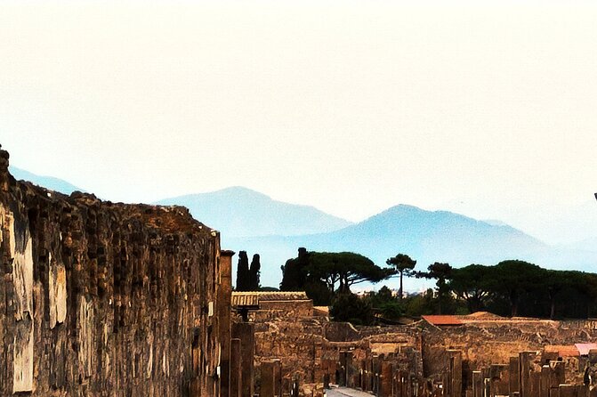 2 Hours Private Tour in Pompeii with Archaeologist - Pompeii with an archaeologist, not just a list of ruins