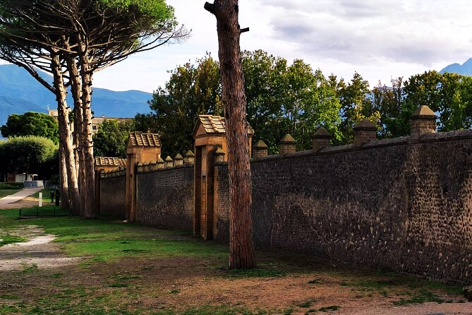 2 Hours Private Tour in Pompeii with Archaeologist - Stop 1: Palestra Grande, Pompeii’s big gymnasium