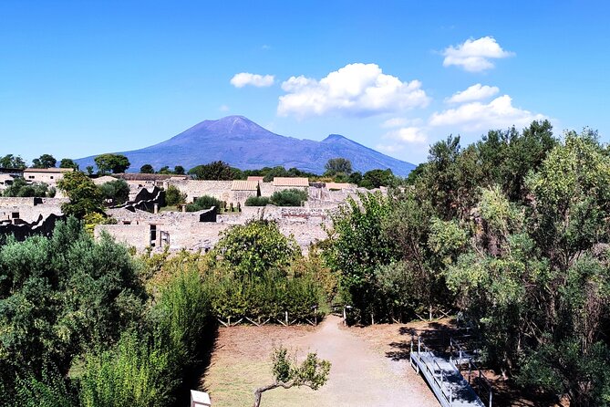 2 Hours Private Tour in Pompeii with Archaeologist - Stop 3: Praedia di Giulia Felice, a large private residential complex