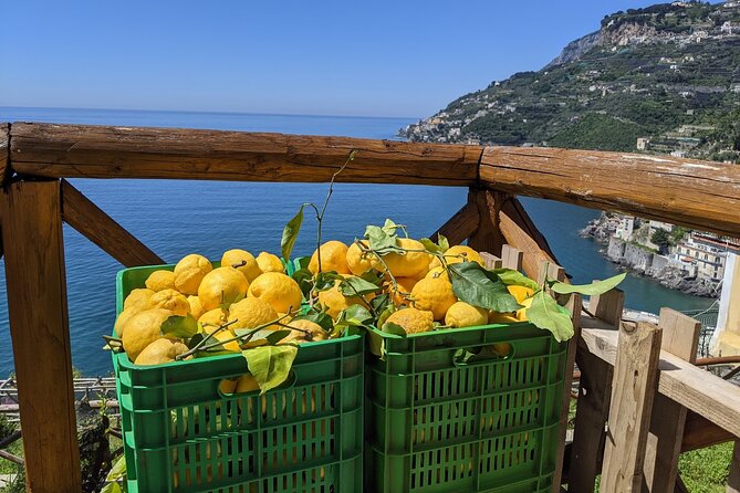 Amalfi Coast - Maiori: Path of Lemons Tour with Tasting - Why the guide story turns a hike into a real experience