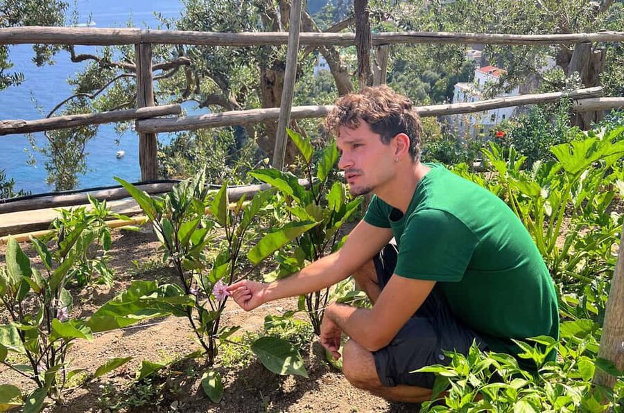 Amalfi Coast: Pizza & Mozzarella Class with Farmhouse visit - Wood-fired oven baking with a sea view meal plan
