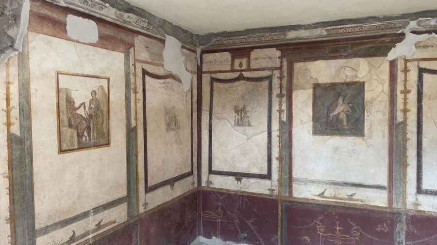 Amalfi Coast: Pompeii Ruins Guided Tour - Who This Tour Fits Best, and Who Might Want Alternatives