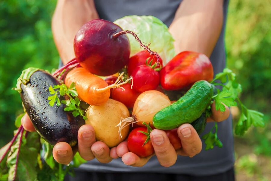Amalfi: Cooking Class and Farmhouse Visit With Meal - Price and value, is $157.47 per person a fair deal