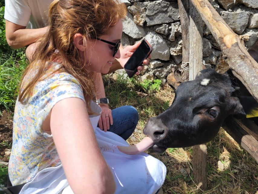 Amalfi: Make tagliatelle, mozzarella and tiramisù - Arriving at a real Amalfi farm, not a staged restaurant