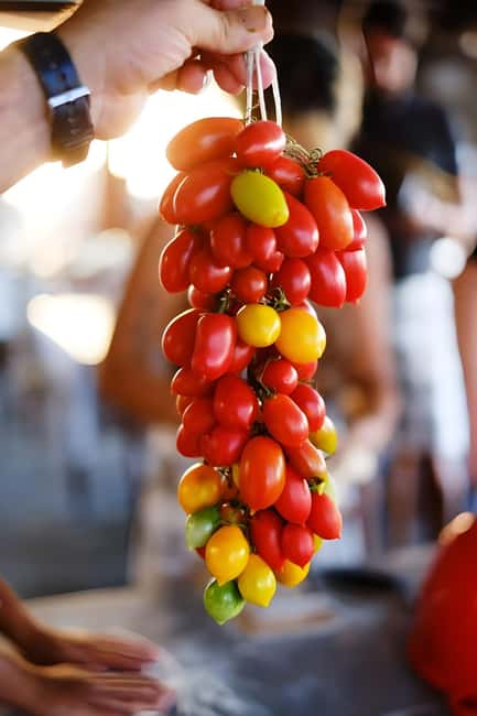 Amalfi: Milk the cows, Make Pasta, Mozzarella and Tiramisù! - Who Should Book This Farm-to-Table Class?