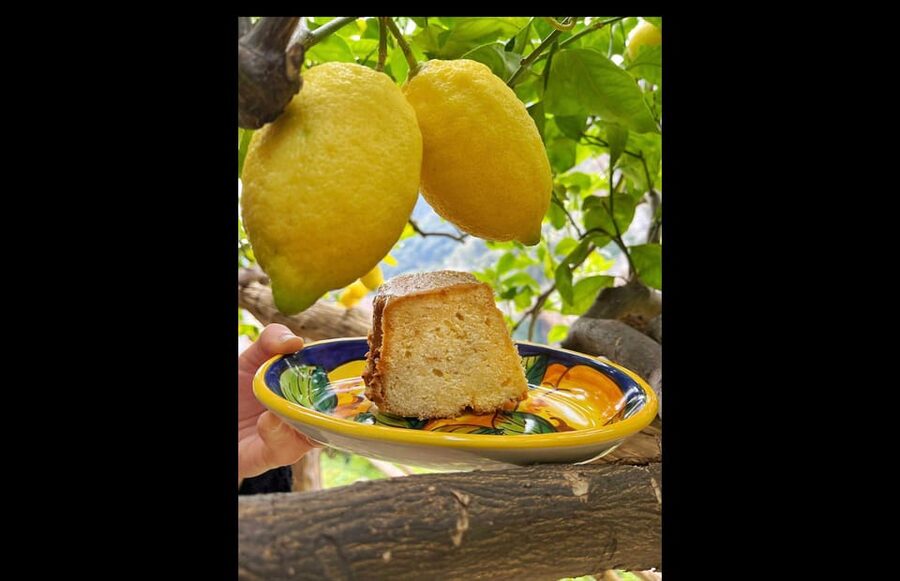 Amalfi Organic Lemon Tour & Tasting in the Historical Garden - Small-Group Guidance, Real People, and Historical Documents