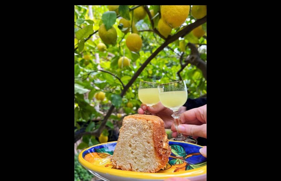 Amalfi Organic Lemon Tour & Tasting in the Historical Garden - FAQ