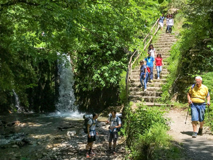 Amalfi: Private Valley of the Mills Nature Reserve Tour - The waterfalls and rare plants stop: why this part feels worth it