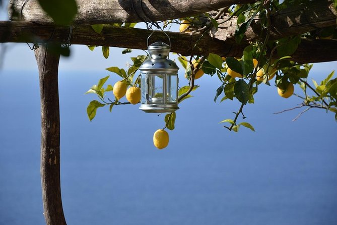 Amalfi Ravello Positano Tour - Key highlights you will care about