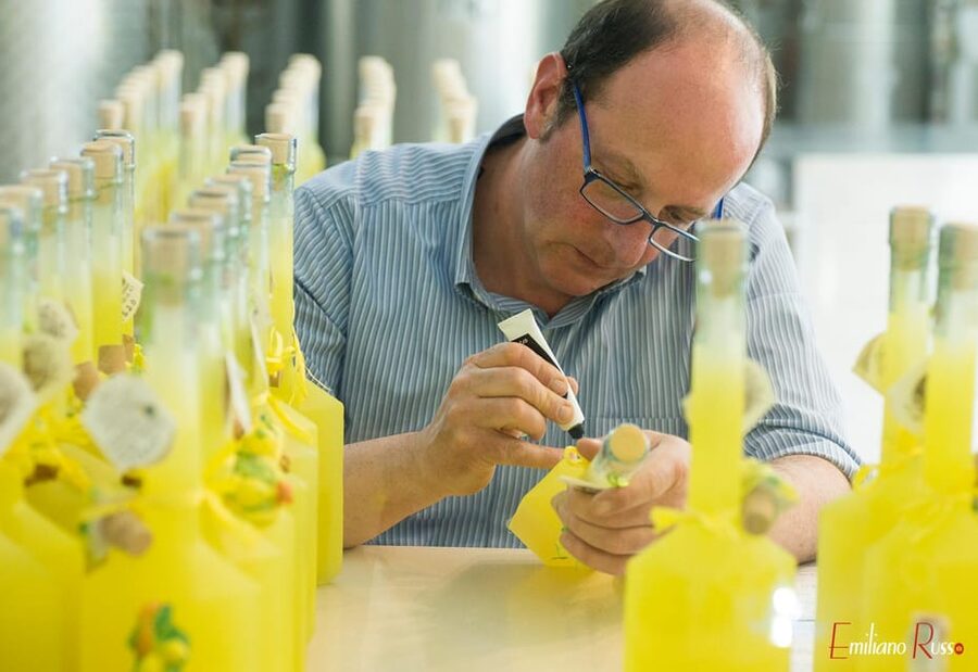 Amalfi: Vertical Lemon Farm Tour, Tastings, and Rural Museum - Key things that make this Amalfi lemon tour special
