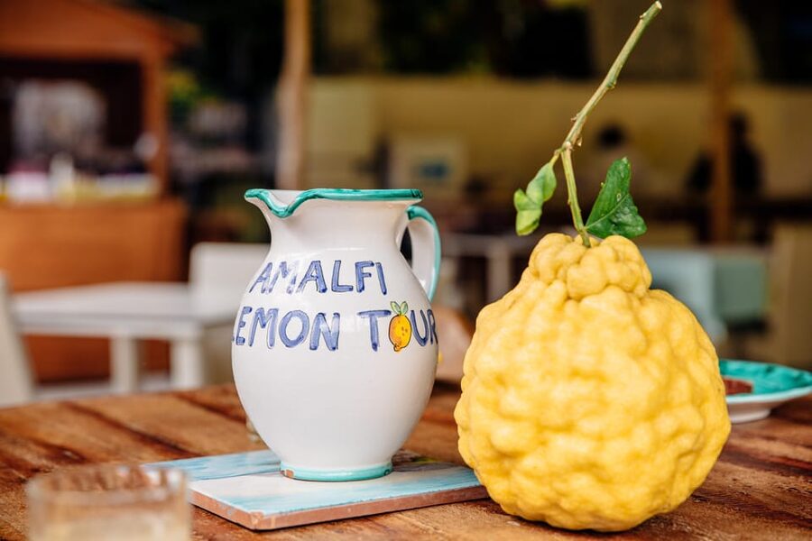 Amalfi: Vertical Lemon Farm Tour, Tastings, and Rural Museum - Tasting Organic Farm Products: Lemon Cake, Lemonade, and Limoncello