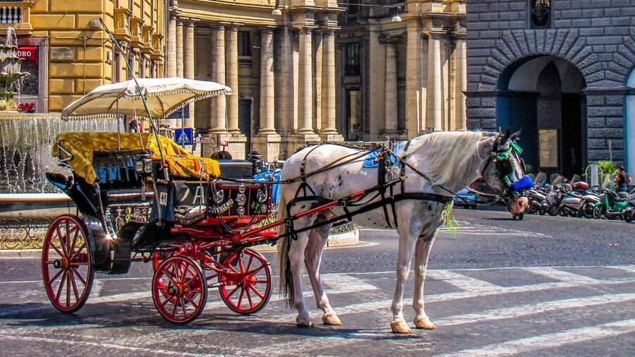 Best of Naples: Private Walking Tour with a Local - Price and value: is $49 per person fair for a private guide?