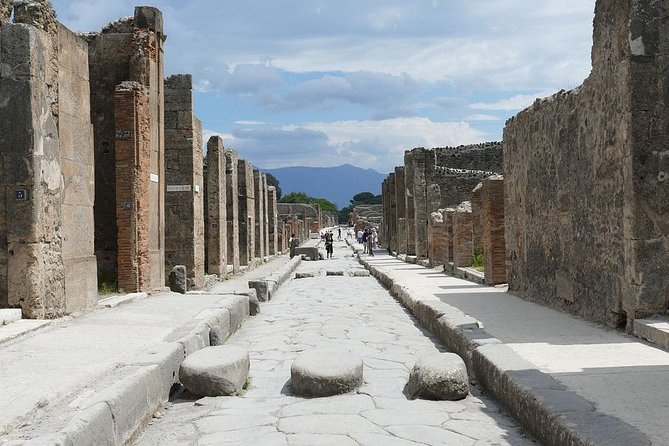 Best Pompeii Private Tour from Naples Port or Hotel Pick Up - Picking you up at Naples Port or your hotel, with a real meet point