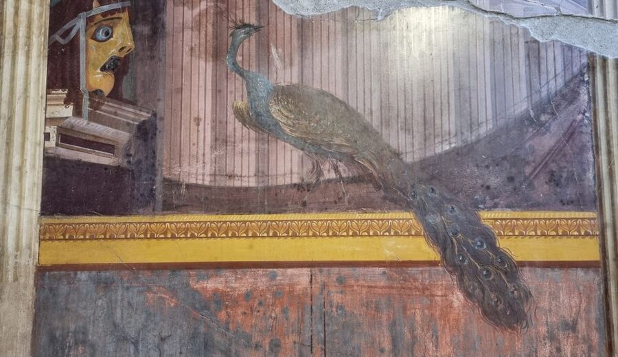Campania: Pompei+Herculaneum+Vesuvius audio guide - Making the app work smoothly (and avoiding the common pain points)