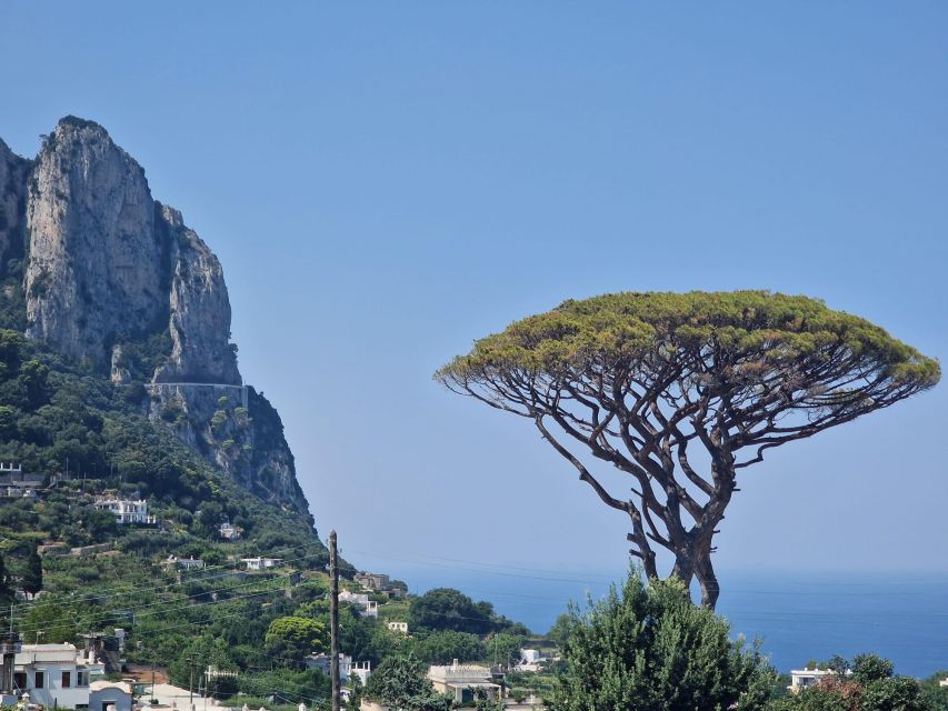 Capri, Anacapri & Blue Grotto Small Group Tour - Cost and value: what you get for $107.62, and what you pay for separately