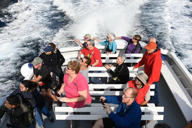 Capri Coast to Coast: Boat Tour with Optional Blue Grotto - Onboard Comfort: Seats, Sound, and Motion