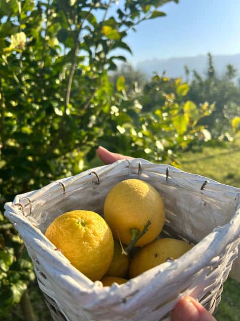 Cooking Class w/Italian Mamma from Pompei! - Key Highlights at a Glance