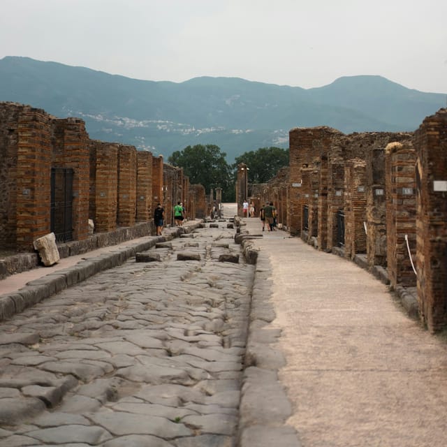 Discover Pompeii: French Walking Tour of the Buried City - Who should book this French Pompeii walking tour