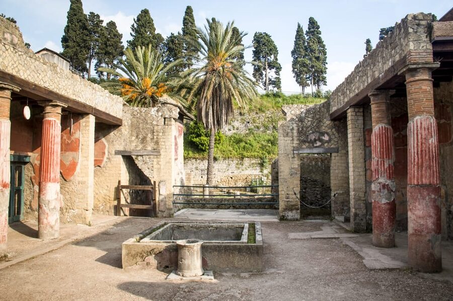 Ercolano: Herculaneum Entry Ticket with Optional Audio Guide - Public life in ancient Herculaneum: shops, gymnasium, baths