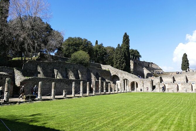 Explore Pompeii Half Day Highlights Tour with Pickup from Naples - Thermal Baths and Via degli Augustali: Daily Life Before 79 AD