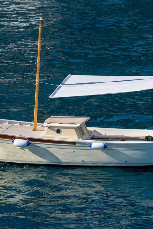 From Amalfi: Amalfi - Positano - Coast boat tour - Li Galli (Sirenuses) and dolphin watching, plus a swim stop with attitude