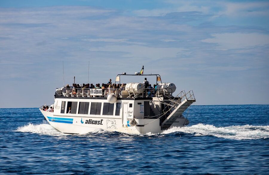 From Amalfi Coast: Capri and Anacapri Full-Day Guided Trip - Skip-the-Line Minibus to Anacapri and the Guided Belvedere Walk