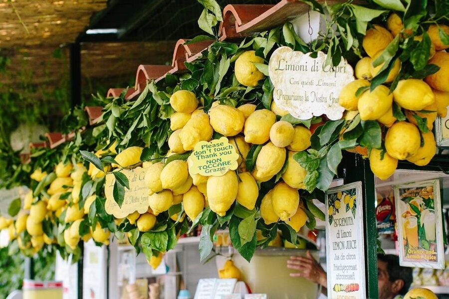 From Amalfi: Li Galli Islands and Capri Full-Day Boat Tour - Should you book this Amalfi to Capri boat day with Li Galli?