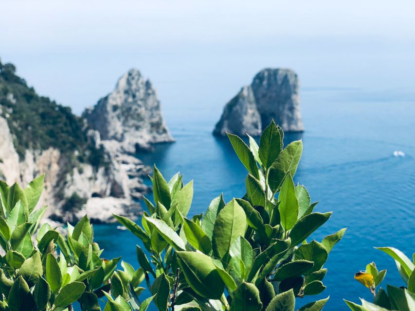 From Naples: Capri and Anacapri - Guided tour - Key highlights at a glance