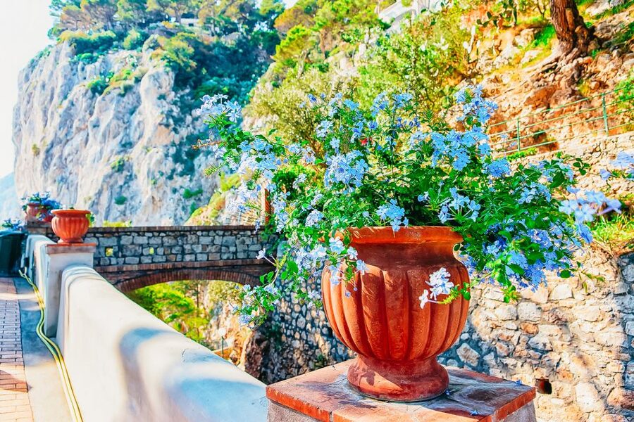 From Naples: Capri and Blue Grotto Day Tour - Naples to Capri: The Best Way to Start the Day