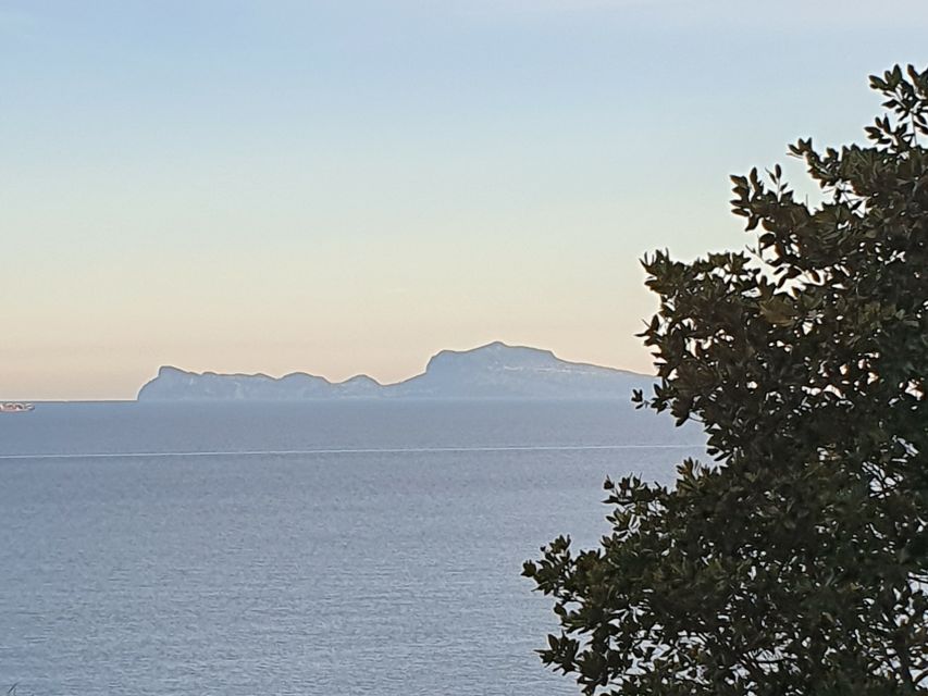From Naples: Capri Day Trip with Lunch - Naples to Capri Day Trip by Hydrofoil: Why the Format Works