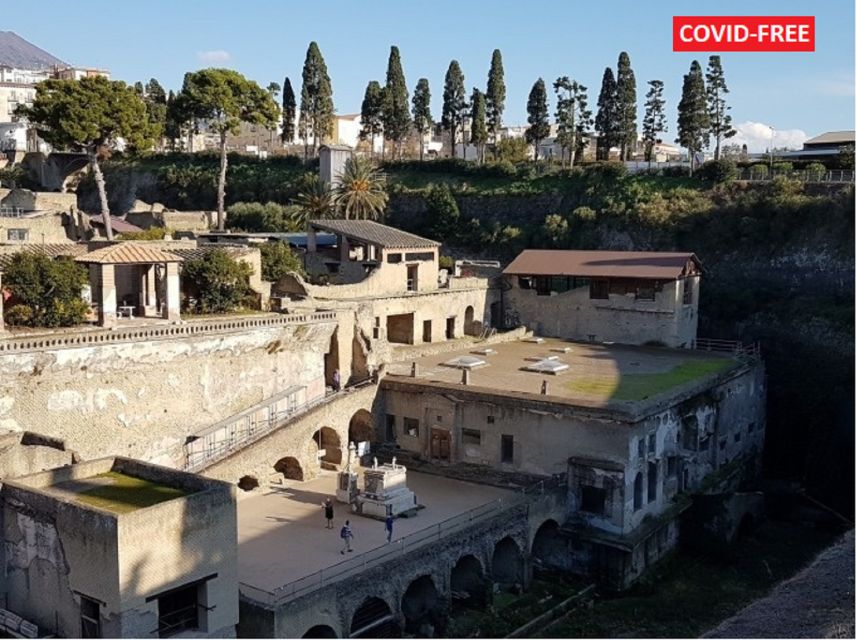 From Naples: Day Trip to Herculaneum with skip the line - Skip-the-line entry: the hidden value of fewer pauses