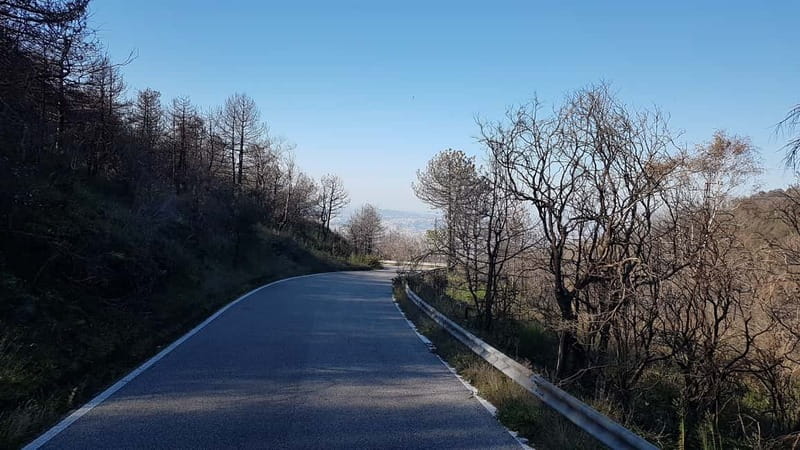 From Naples: Day Trip to Mount Vesuvius - Pickup Points, Last-Name Signs, and Real Timing Habits