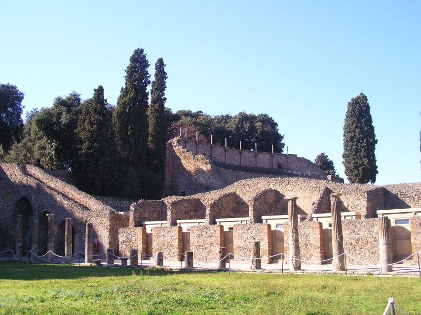 From Naples: Guided Pompei & Mount Vesuvius with Pizza Lunch - Entrance Fees and Ticket Math for Pompeii and Vesuvius