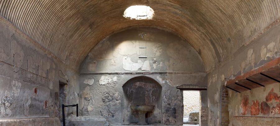 From Naples: Herculaneum and Pompeii Day Trip with Tickets - Should you book this Pompeii and Herculaneum day trip?