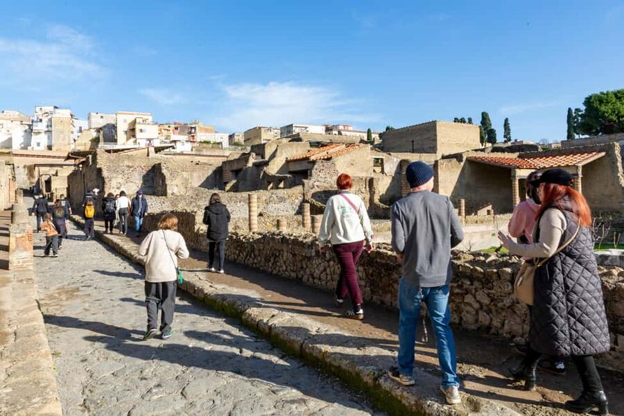 From Naples: Herculaneum Skip-the-Line Guided Tour - Key points to know before you go