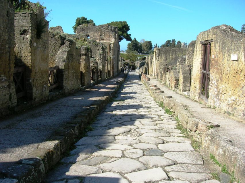 From Naples: Herculaneum Skip-the-Line Guided Tour - Price and value, what $63 buys you