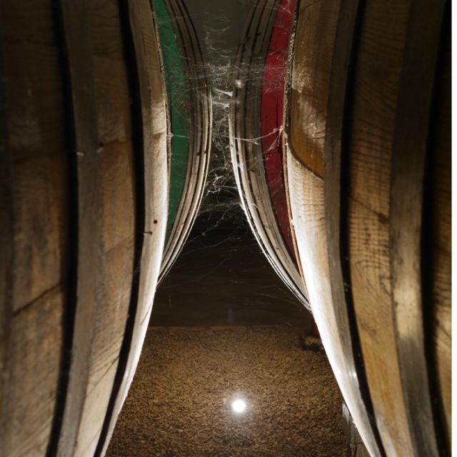 From Naples: Irpinia Wine Tour with 6 Tastings - Tenuta Donna Elvira: Montemiletto, Cellars, and Three Estate Tastings