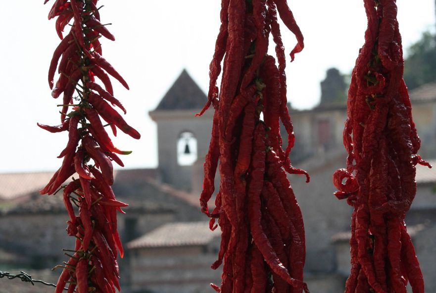 From Naples: Irpinia Wine Tour with 6 Tastings - Pickup At Romeo Hotel, Then Into the Hills