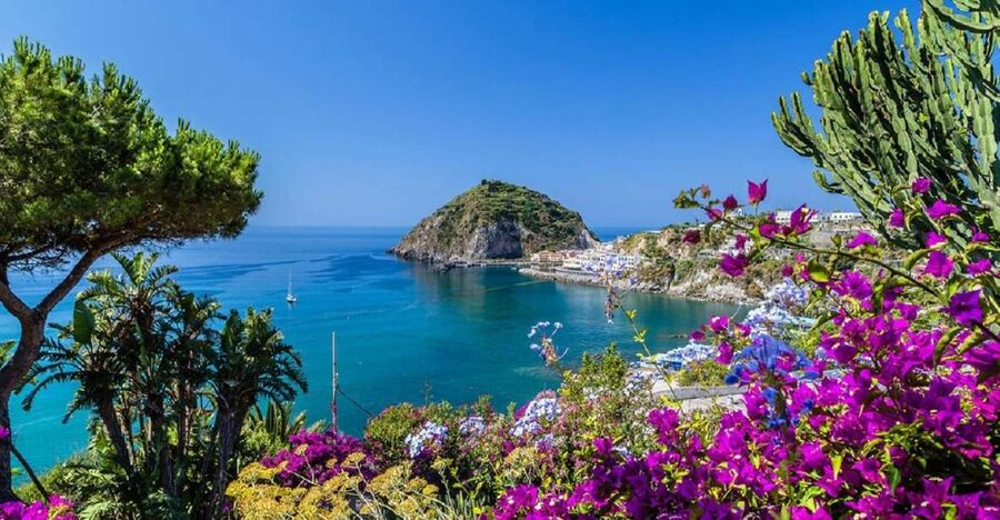 From Naples: Ischia Day Trip with Ferry Tickets and Lunch - Lunch on Ischia: what the included 3-course meal gets you