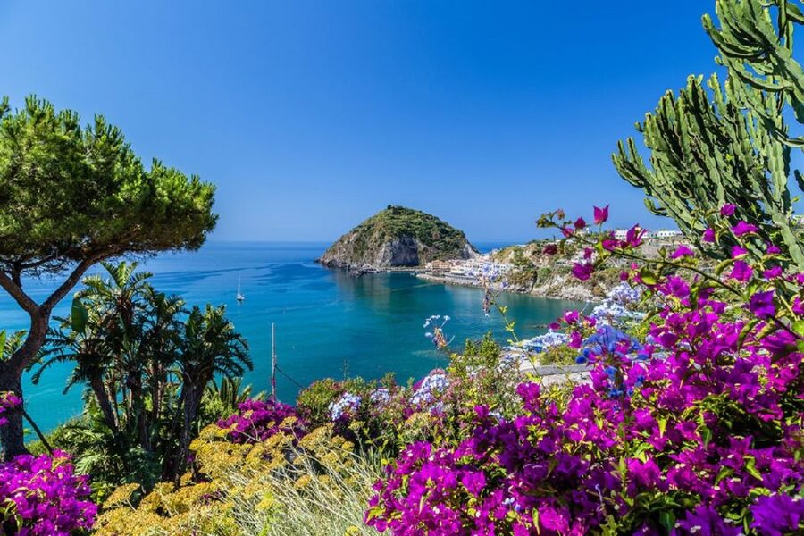 From Naples: Ischia Day Trip with Ferry Tickets and Lunch - Molo Beverello at 8:00 and the ferry ride reality check
