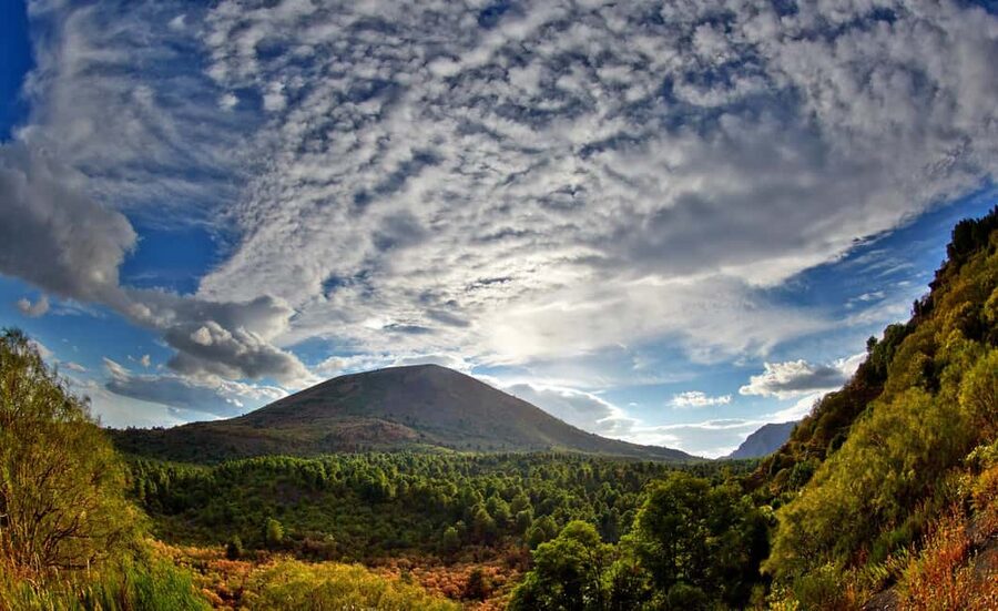 From Naples: Mount Vesuvius Half-Day Tour with Lunch - Getting from Naples: pickup times, comfort, and traffic reality