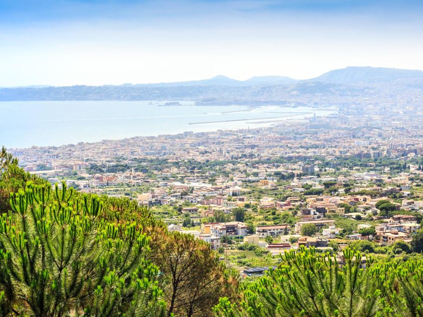 From Naples: Mount Vesuvius Transfer with Entry Tickets - The ride up: what the 40-minute drive adds to your day