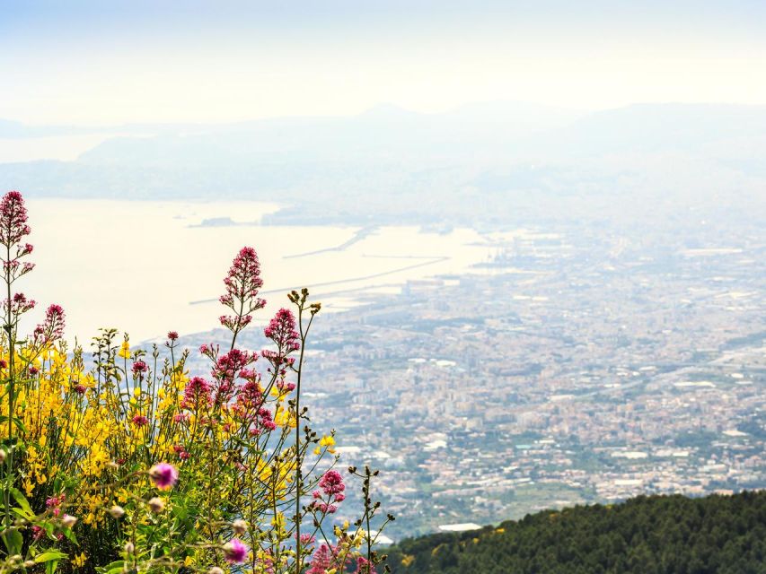 From Naples: Mount Vesuvius Transfer with Entry Tickets - Panoramas over Naples and the Amalfi Coast