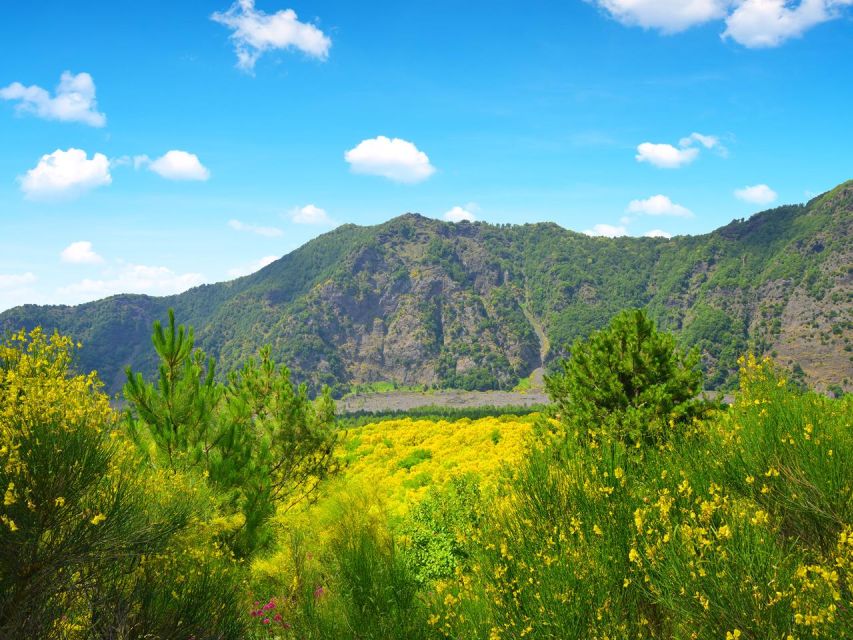 From Naples: Mount Vesuvius Transfer with Entry Tickets - Who this trip suits, and who should choose a different plan