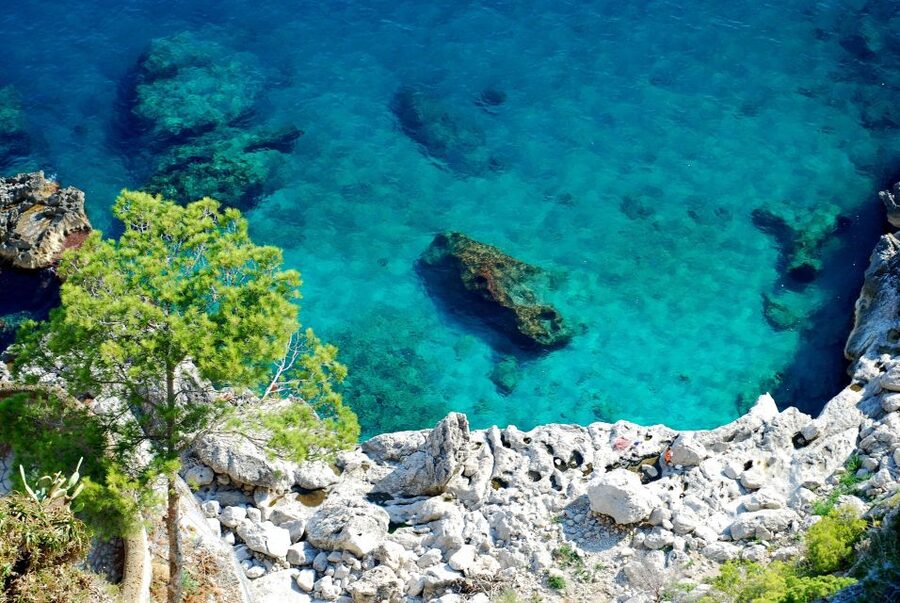 From Naples: Pompeii and Amalfi Coast Full-Day Private Tour - Lunch, restrooms, and the practical budget
