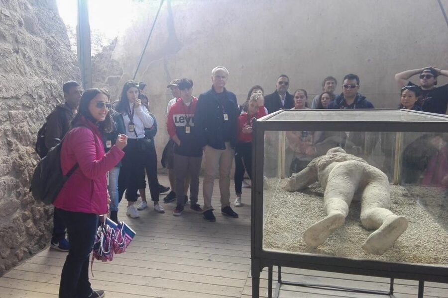 From Naples: Pompeii and Herculaneum Tour with Lunch - Should You Book This Naples Pompeii and Herculaneum Tour?
