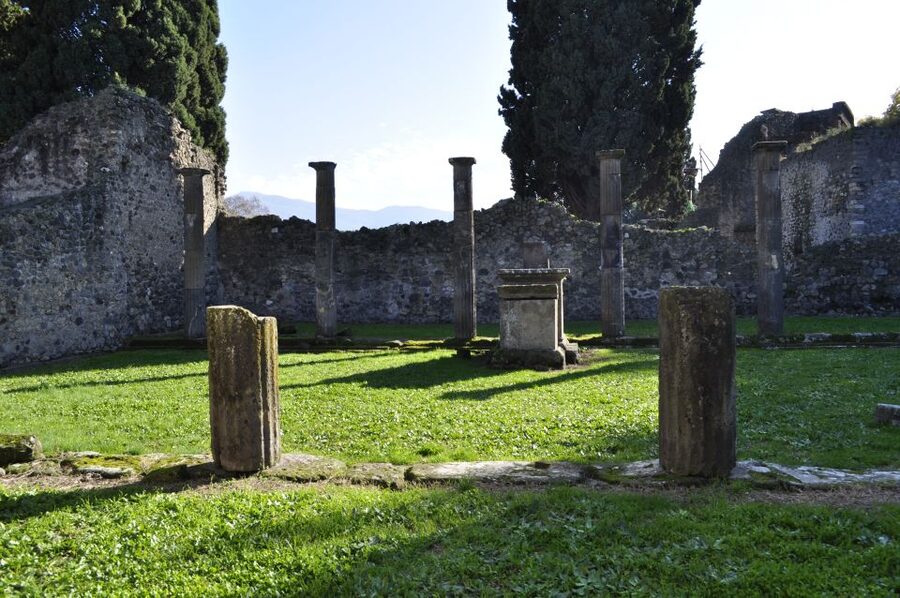 From Naples: Pompeii and Wine Tasting Tour with Lunch - Transportation and timing: why the day stays manageable