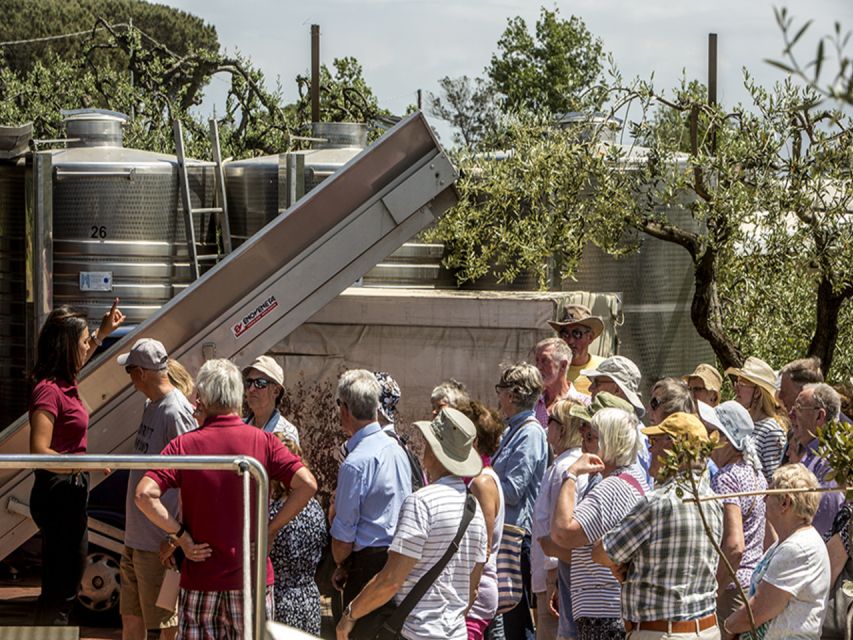 From Naples: Pompeii and Wine Tasting Tour with Lunch - Getting picked up in Naples: plan for a smooth start