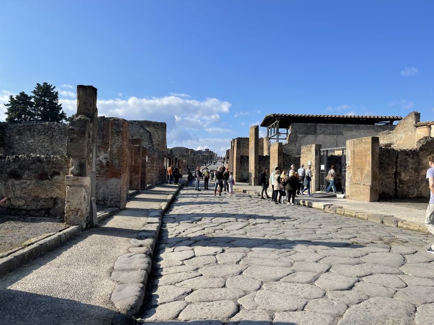 From Naples: Pompeii Guided Tour with Skip-the-Line Tickets - Naples to Pompeii, Without Turning It Into a Logistics Project